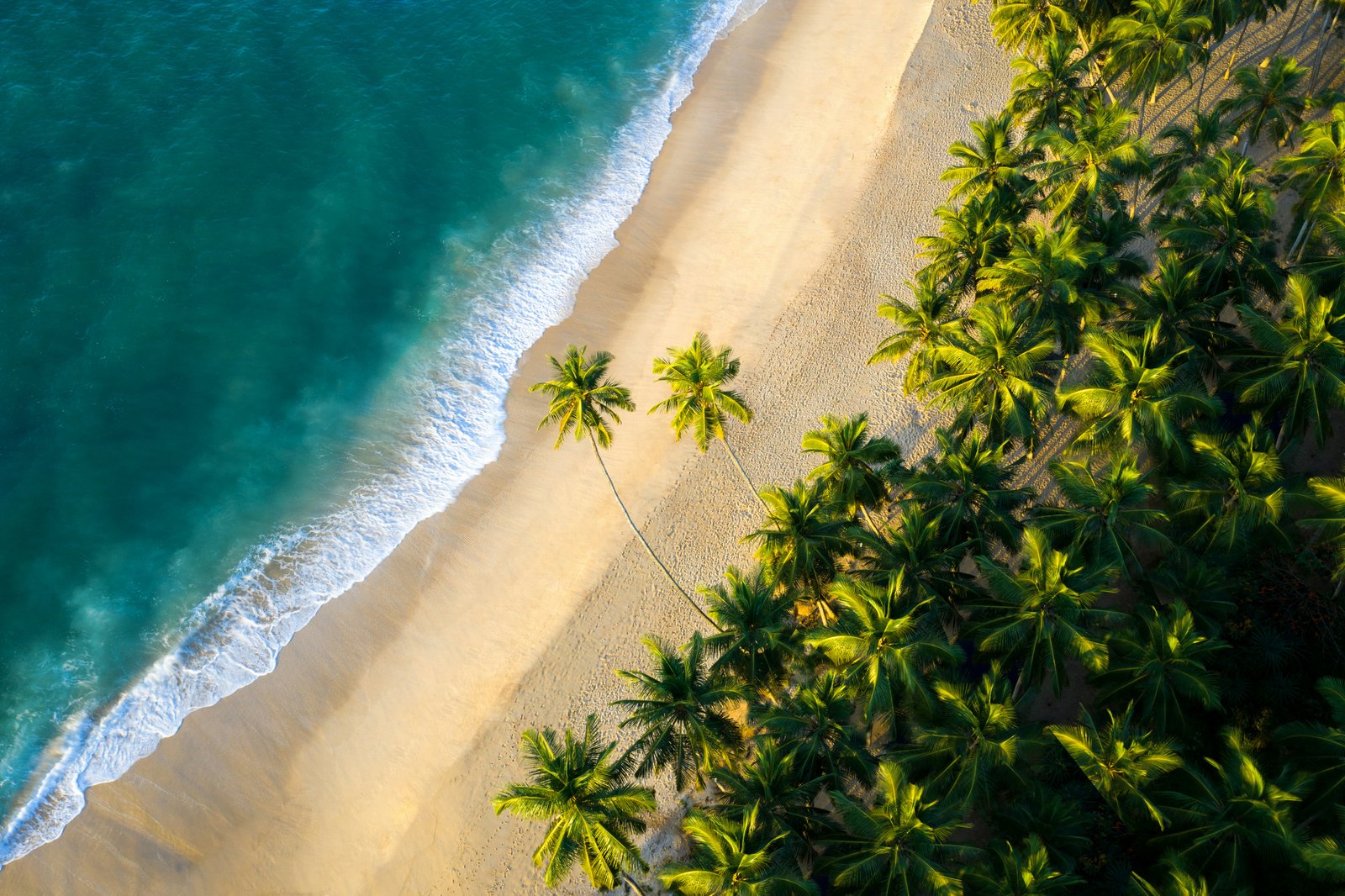 Southern Coast Discovery